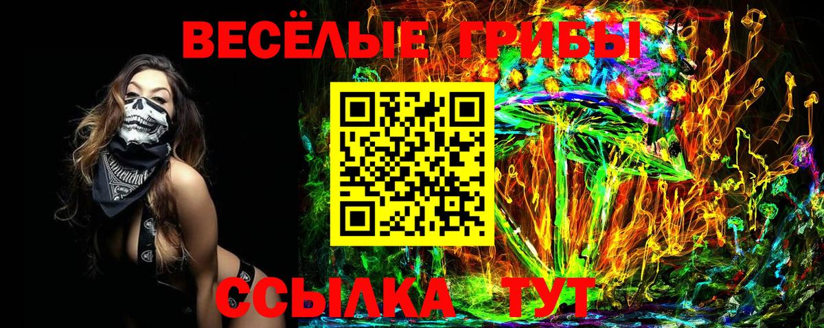 Шали  Галлюциногенные грибы MAGIC MUSHROOMS  Вход с VPN 