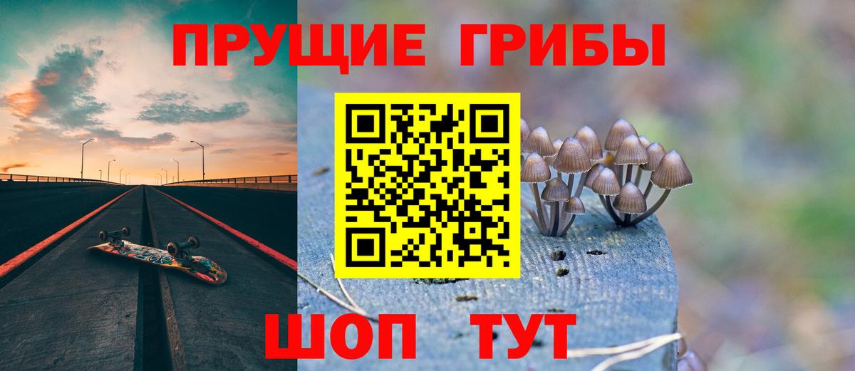 Псилоцибиновые грибы GOLDEN TEACHER Шали